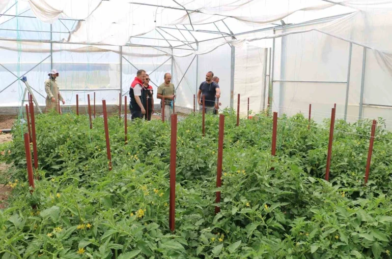 Erzincan’da seracılık yatırımları üretimi artırıyor 