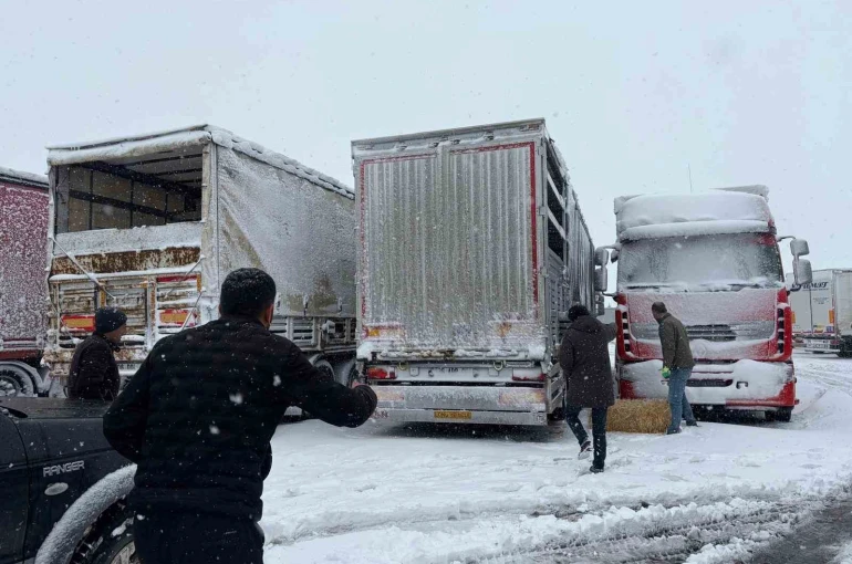 Erzincan’da yolda kalan 200 büyükbaş hayvana yem takviyesi
