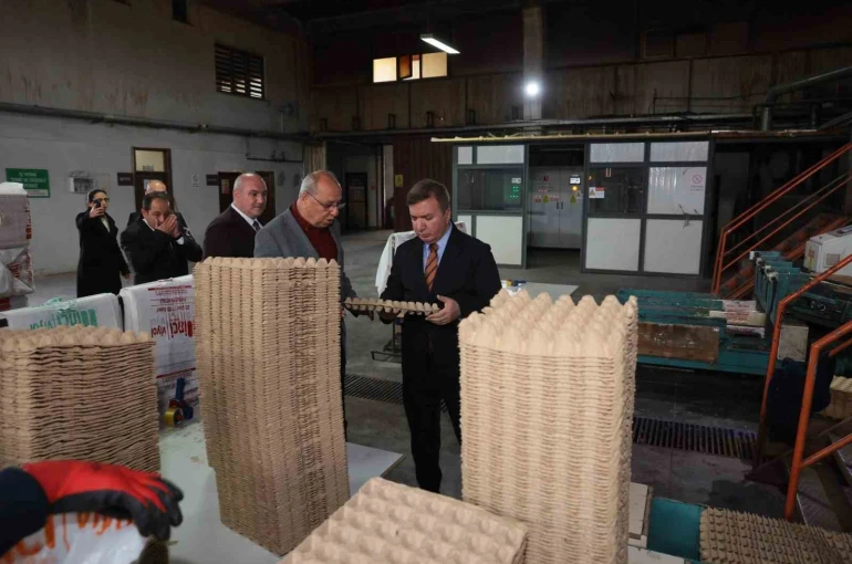 Erzincan’dan Türkiye’ye viyol üretimi 