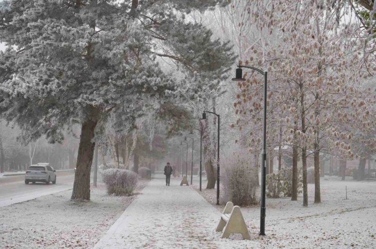 Erzurum güne sis ve kırağı ile uyandı 