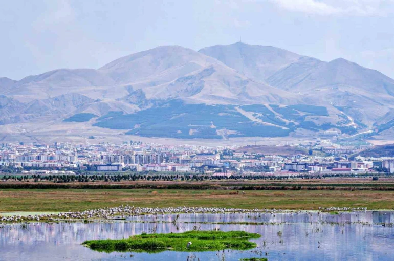 Erzurum ve Bakü petrol hattında 1921’de kritik duraklama