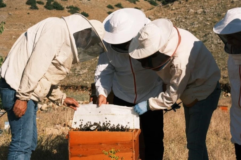 Erzurum’da bal üretimi sektöre değer katıyor 