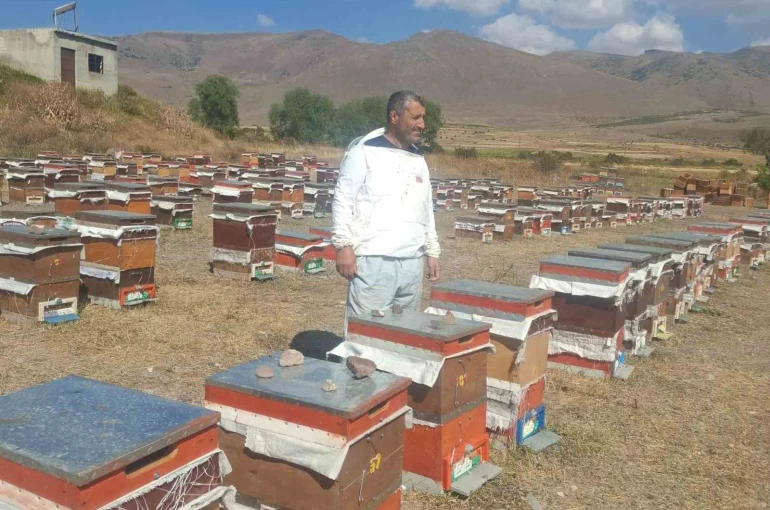 Erzurum’un Çat ilçesinde arıcıların ayı nöbeti 