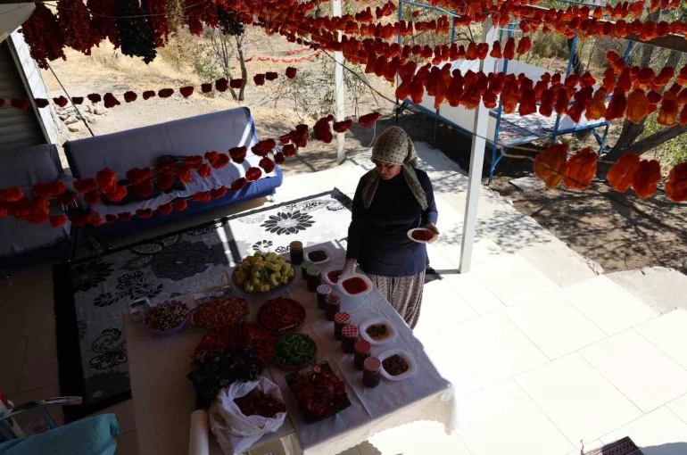Eşi emekli olduktan sonra köyüne yerleşen girişimci kadın, acı ve tatlıyı bir araya getirdi 