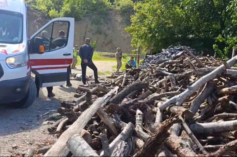 Eşini odunla döverek öldürdü 
