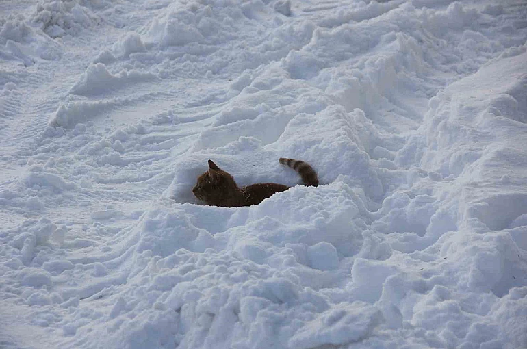 Eski kışlar geri geldi, Kızılırmak’ın yüzeyi kısmen dondu 