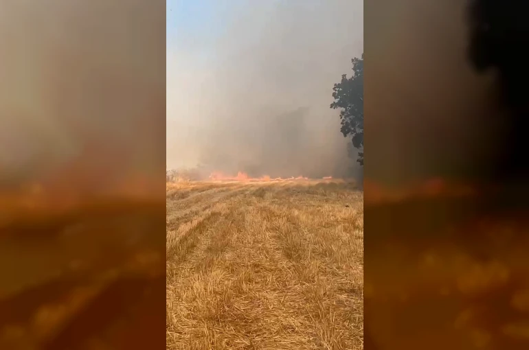 Eskipazar’da anız yangını korkuttu