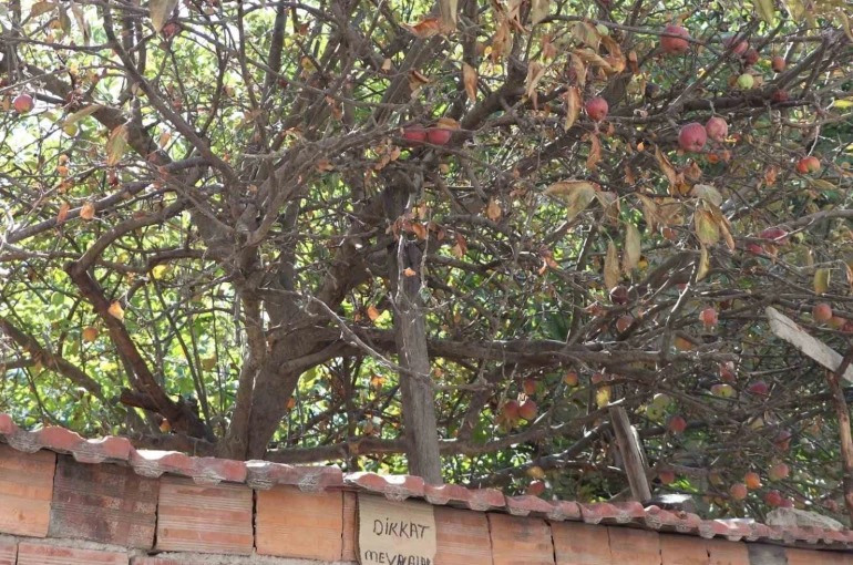 Eskişehir’de şaşırtan uyarı 