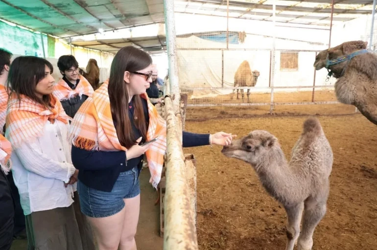 Estonyalı öğrenciler deve çiftliğini gezdi 