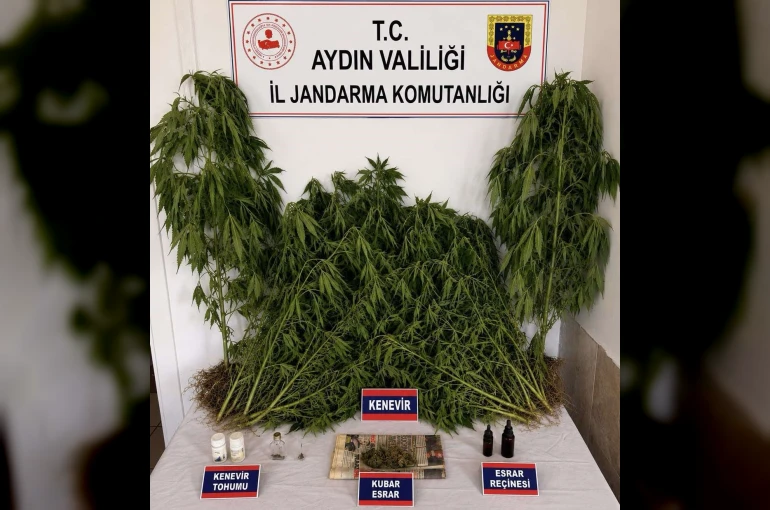 Ev ve bahçesinde kenevir yetiştiren şüpheli yakalandı