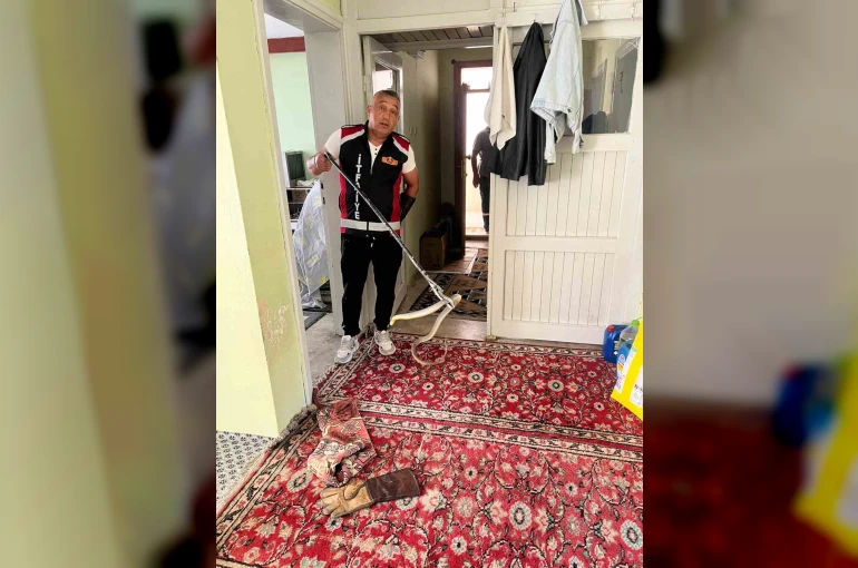 Evde yılan paniği 