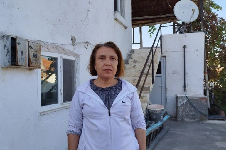 Evin çatısına yuva yapan eşek arıları hastanelik etti 