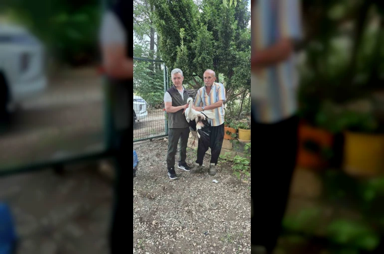 Evinin önüne gelen yaralı leyleğe sahip çıktı