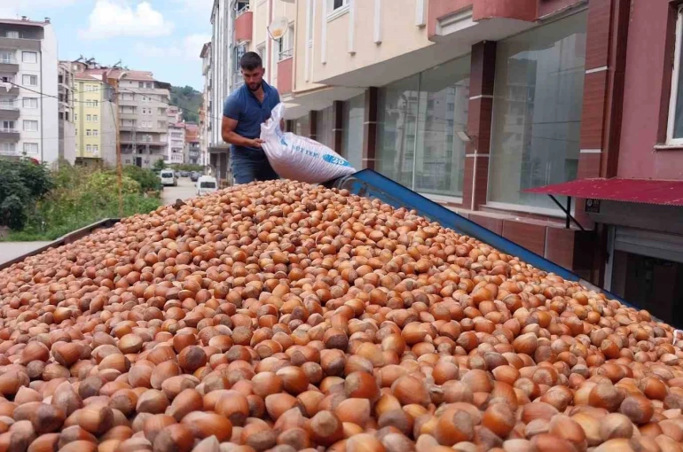 Fındık ihracatında çıta yükseliyor
