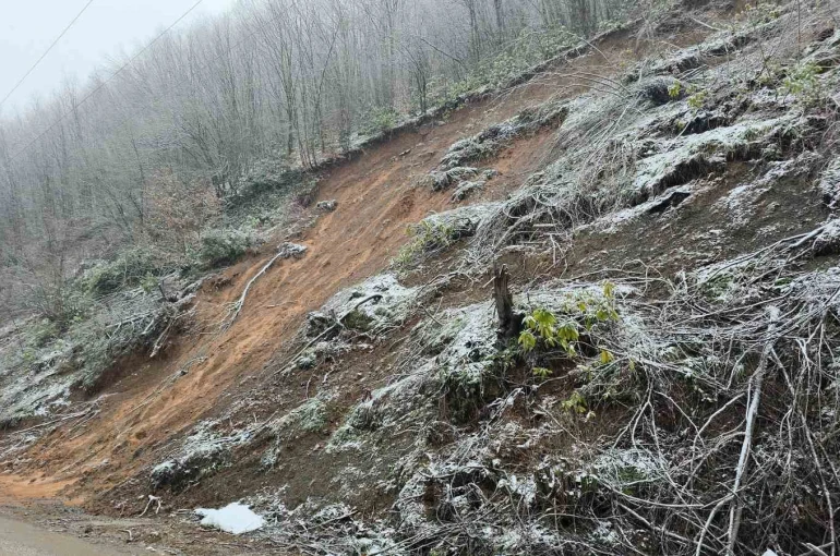 Fındıklıaksu köyünde heyelanların ardı arkası kesilmiyor 