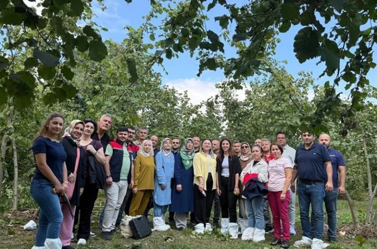Fındıkta verim ve kalite arttırılacak 