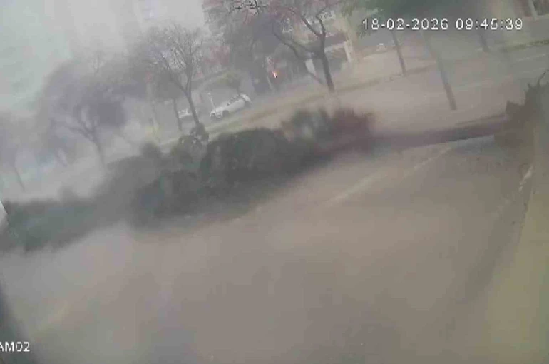 Fırtına dev ağaçları kökünden söktü, o anlar kameraya yansıdı 