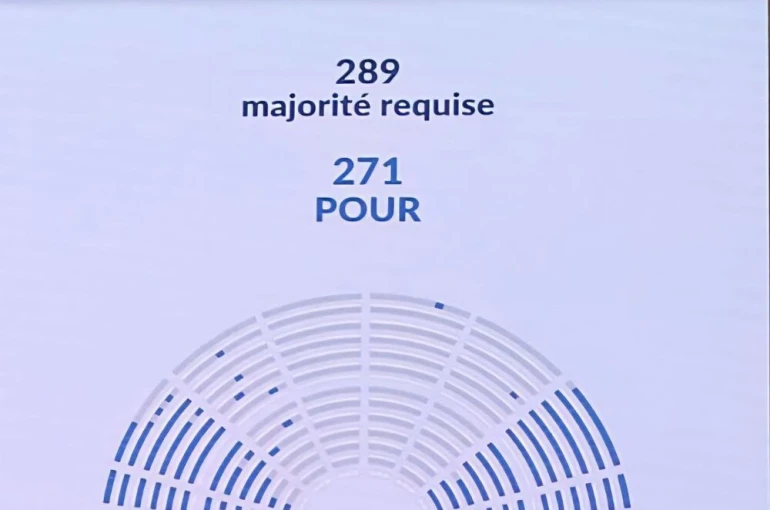 Fransız hükümeti güven oylamasından "kıl payı" ile geçti 