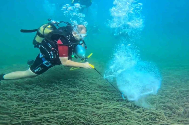 Garanti BBVA ve TURMEPA, deniz çayırlarının korunmasına yönelik çalışmalarını kamuoyuyla paylaştı 