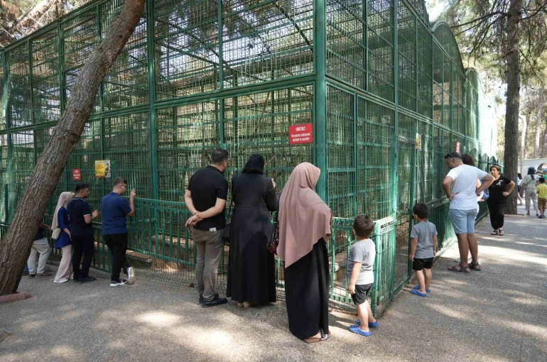 Gaziantep Doğal Yaşam Parkı’nda 8 ayda bir yılın rekoru kırıldı 