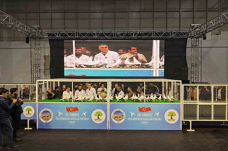 Gaziantep’te ’29. Türkiye Filo Güvercin Güzellik Festivali’ düzenlendi 