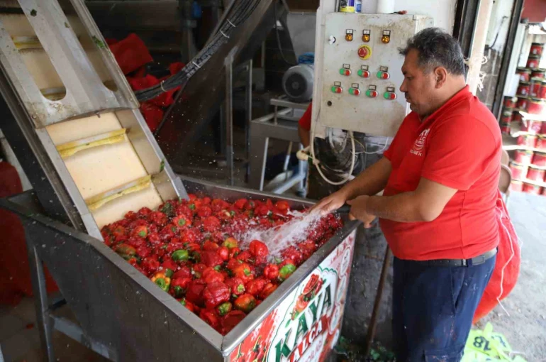 Gaziantep’te kışlık salça mesaisi başladı
