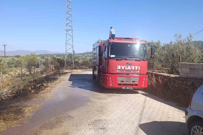 Gaziantep’te zeytinlik alanda yangın 