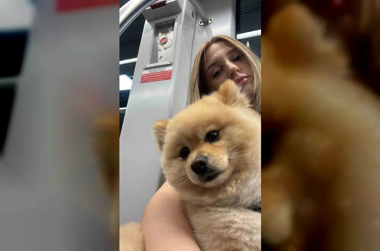 Gaziosmanpaşa’da "petshopta yıkanan köpeğin ihmalden öldüğü" iddiası 