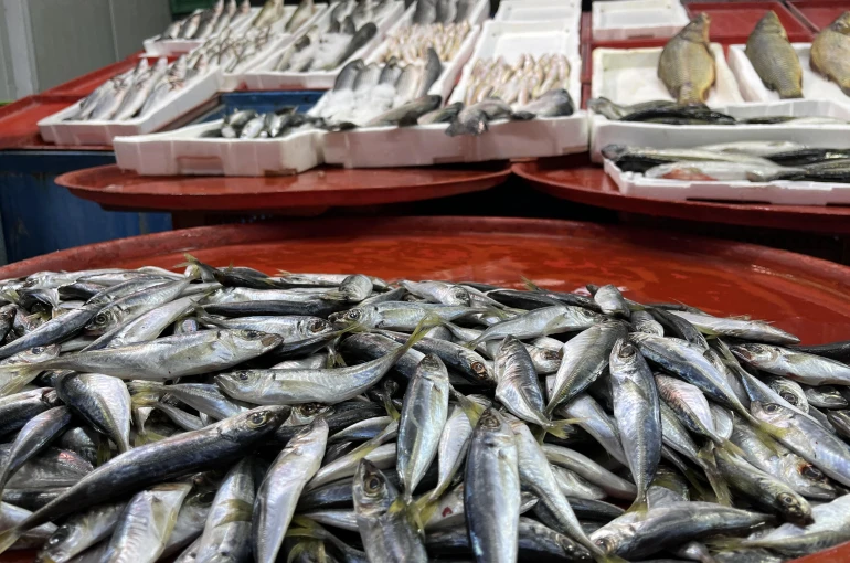 Geciken kış Konya'da balığı da vurdu