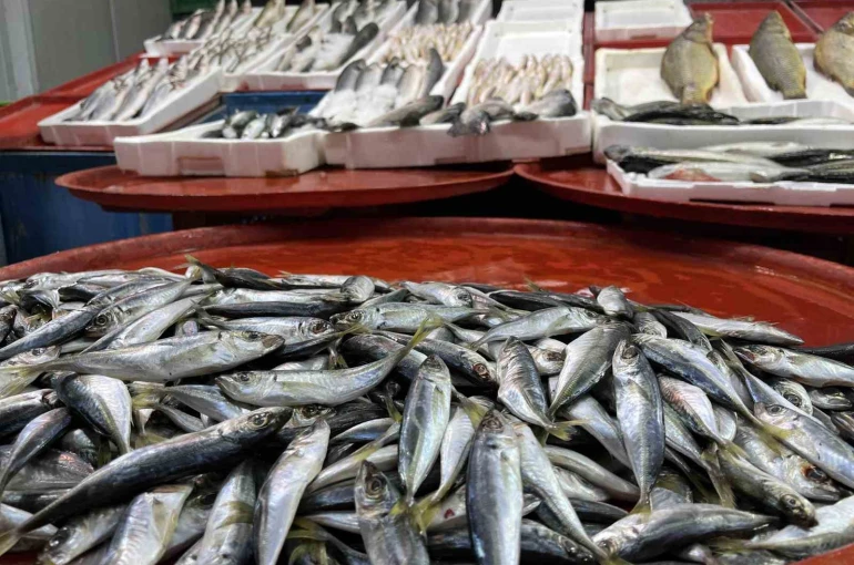 Geciken kış Konya’da balığı da vurdu 