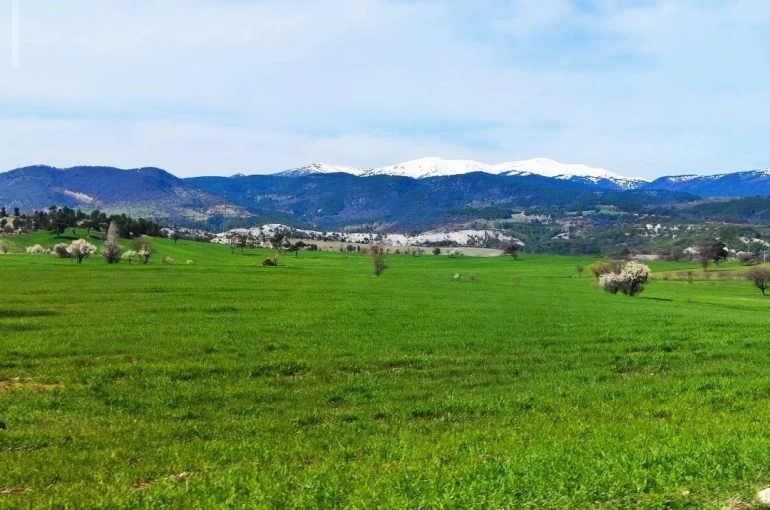 Gediz’de bahar aylarının getirdiği güzellik büyülüyor 