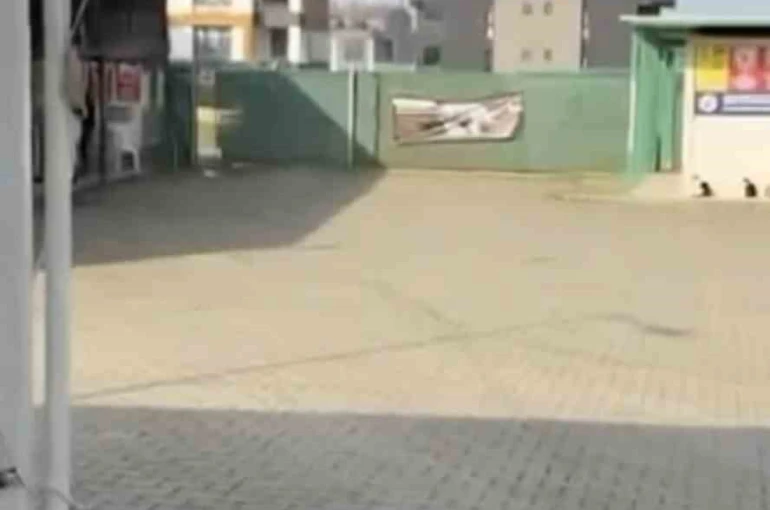 Gemlik Belediyesinin Umurbey’deki barınağını önünde toplanan hayvanseverler içeriye alınmadı 