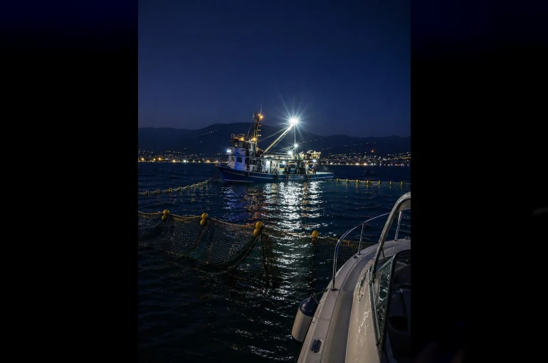 Gemlik Körfezi’nde sardalya avcılığı başladı 