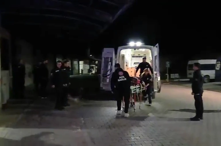 Gemlik’te zeytinlikte bıçaklı saldırı: 1 ağır yaralı 