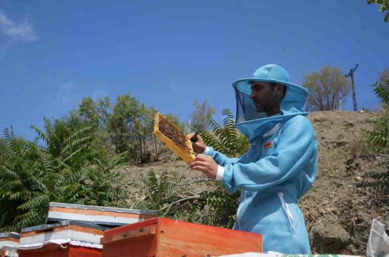 Genç arıcıdan Ankara kanyon balı: Bin 200 çeşit endemik bitki türüyle yılda 2 ton bal üretimi 