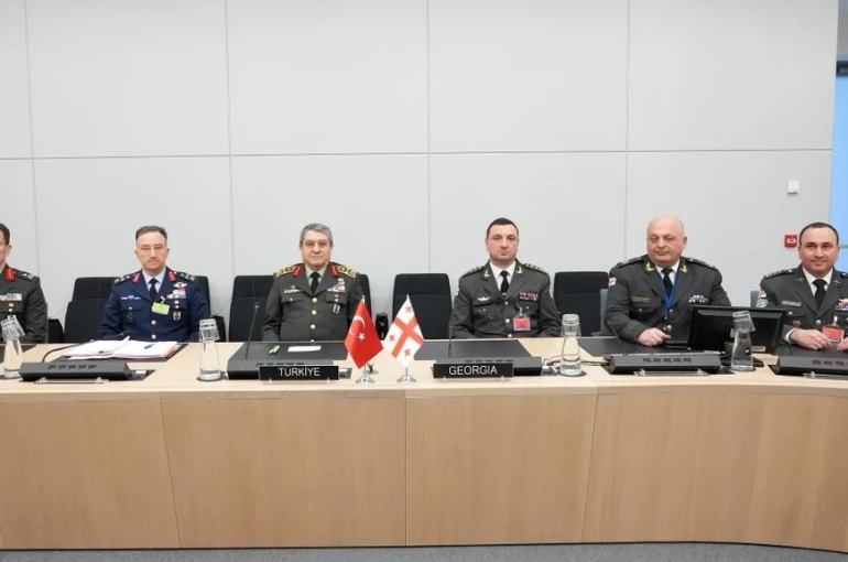 Genelkurmay Başkanı Orgeneral Bayraktaroğlu, Gürcü ve Japon mevkidaşlarıyla görüştü