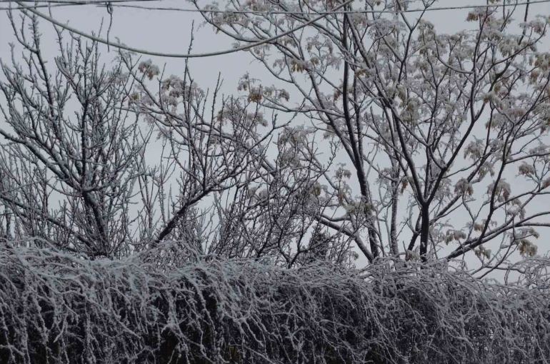 Gercüş beyaz örtüyle kaplandı
