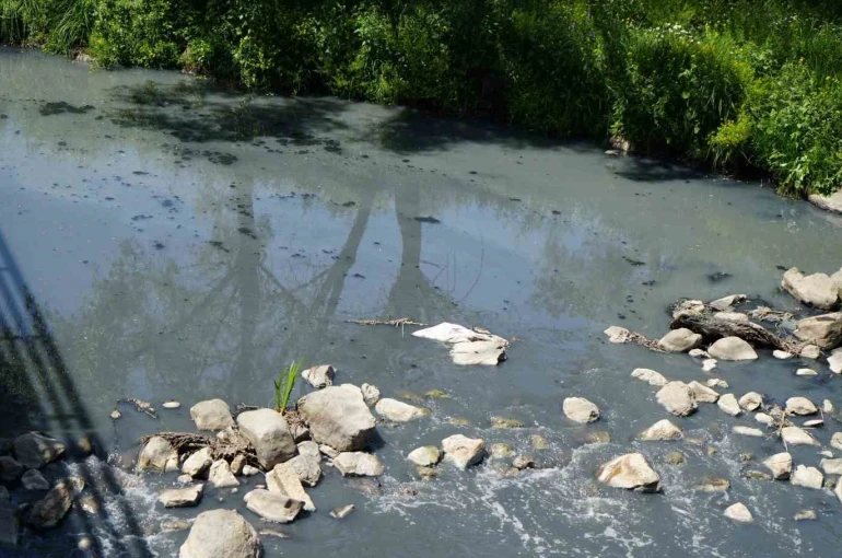 Gerede’de fabrikaların zehrini kustuğu derenin yeniden davası görülecek 