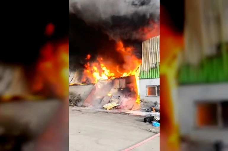 Geri dönüşüm fabrikasında yangın çıktı 