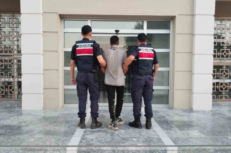 Germencik’te incir hırsızlığına suçüstü