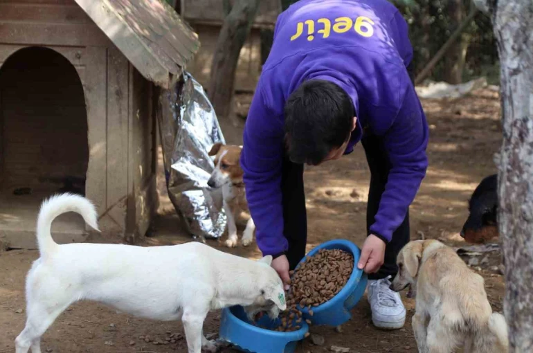 Getir’den bu yıl da 1 milyon kap mama desteği 