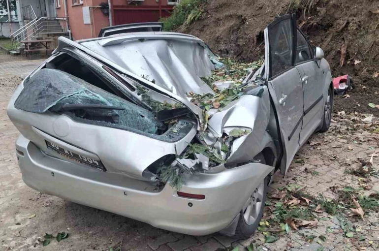 Giresun’da devrilen ağaç bir aracı kullanılamaz hale getirdi 