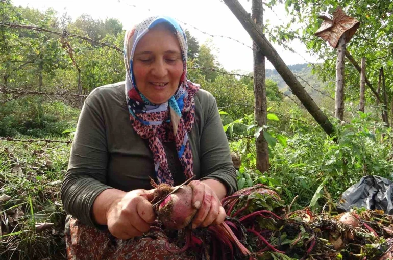 Giresun’da kadınlar geleneksel yöntemlerle kışlık yiyeceklerini hazırlıyor 