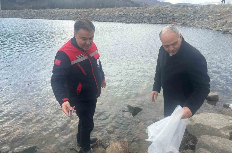 Göl ve göletlerde balıklandırma çalışması