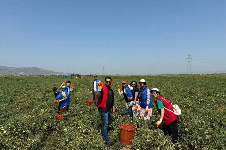 Gönüllü Hasat Etkinliği 2026 yılı takvimi açıklandı 