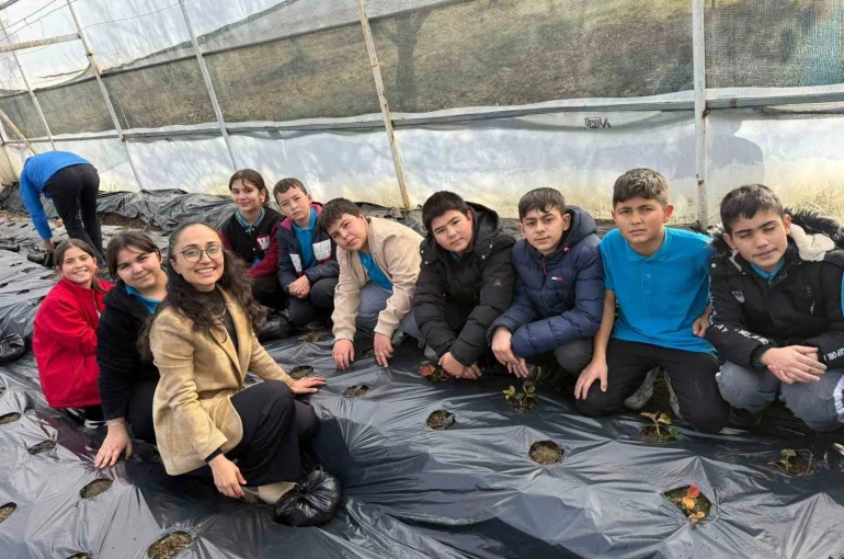 Gördes’te çilekler engelliler için yetişecek 