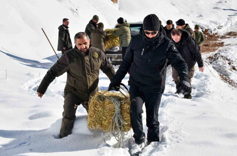 Gümüşhane’de aç kalan yaban hayvanları için seferberlik 
