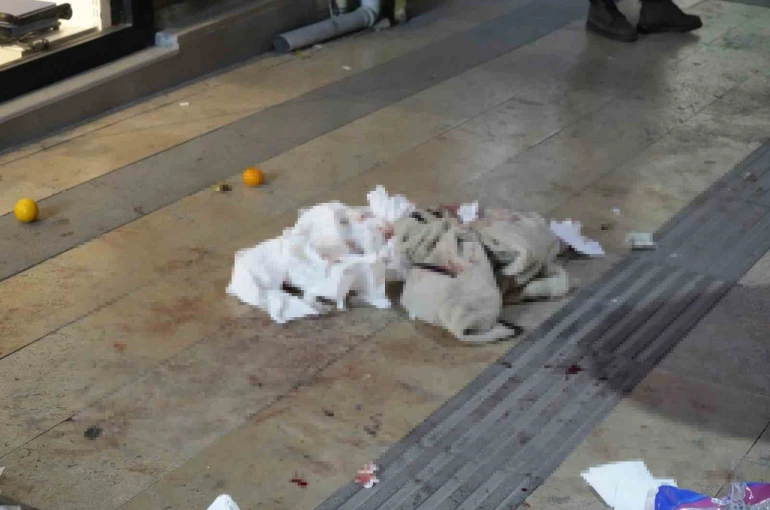 Gümüşhane’de boşanma aşamasındaki eşi tarafından bıçaklanan kadın yaralandı 