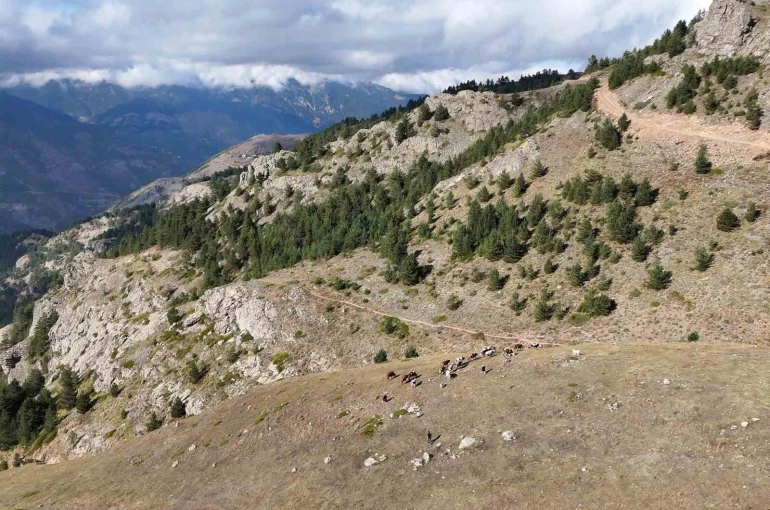 Gümüşhane’de genç muhtarın Türkiye’ye ilham veren başarı hikayesi 