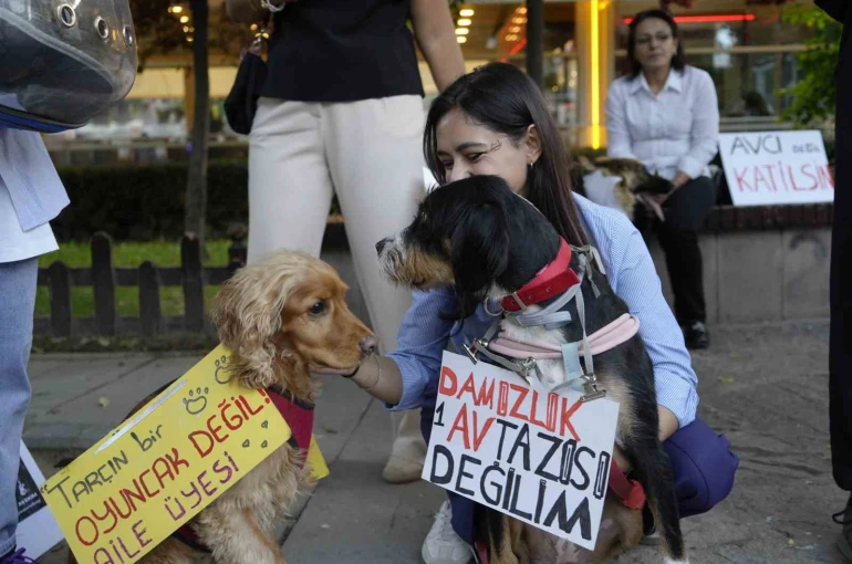 Gümüşhane’de ’Hayvanları Koruma Günü’nde anlamlı yürüyüş